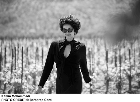 Photo of Kamin Mohammadi