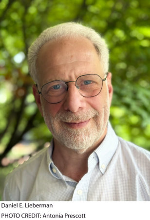 Photo of Daniel E. Lieberman
