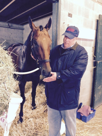 Photo of David Israel