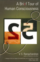 A Brief Tour of Human Consciousness