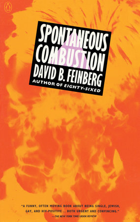 Spontaneous Combustion by David B. Feinberg