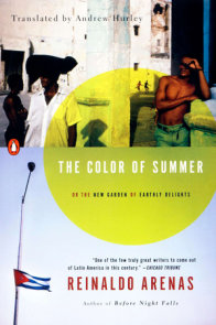 The Color of Summer