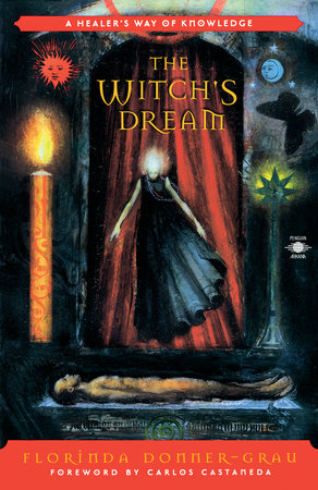 The Witch's Dream by Florinda Donner-Grau