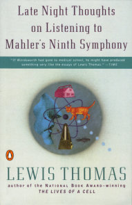 Late Night Thoughts on Listening to Mahler's Ninth Symphony