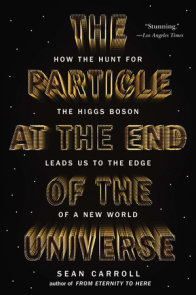 The Particle at the End of the Universe