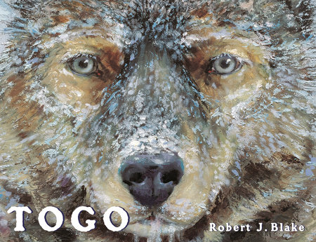 Togo by Robert J. Blake