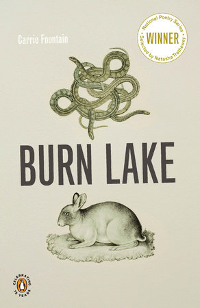 Burn Lake by Carrie Fountain