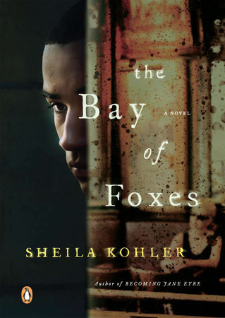 The Bay of Foxes by Sheila Kohler