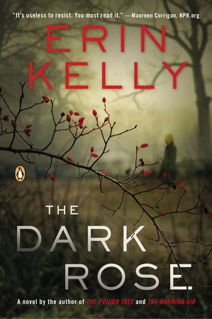 The Dark Rose by Erin Kelly