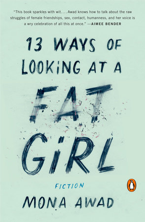 13 Ways of Looking at a Fat Girl Book Cover Picture
