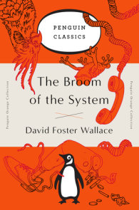 The Broom of the System