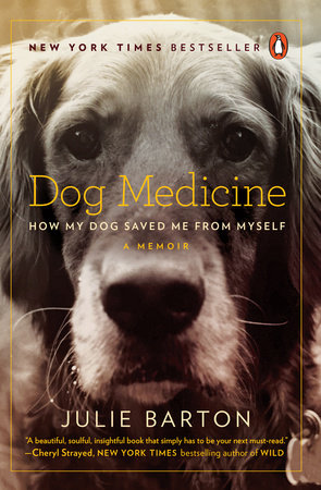 Dog Medicine by Julie Barton
