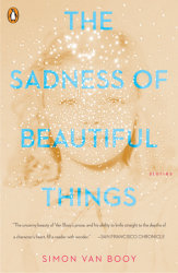 The Sadness of Beautiful Things
