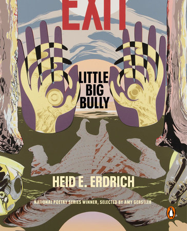 Little Big Bully by Heid E. Erdrich