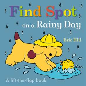 Find Spot on a Rainy Day
