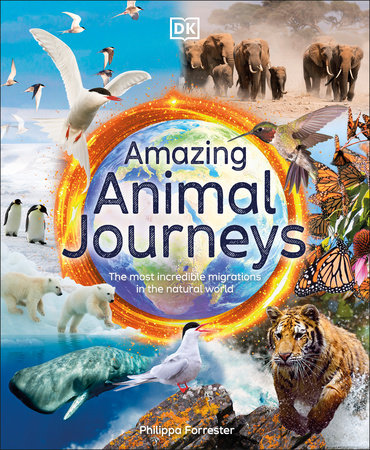 Amazing Animal Journeys by Philippa Forrester: 9780744059908 |  : Books