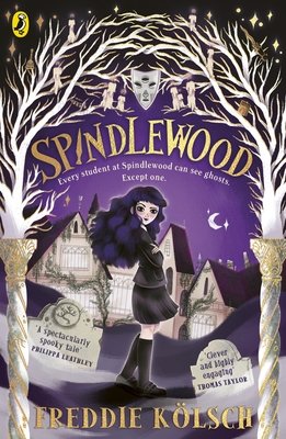 Cover of Spindlewood
