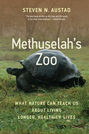 Methuselah's Zoo by Steven N. Austad