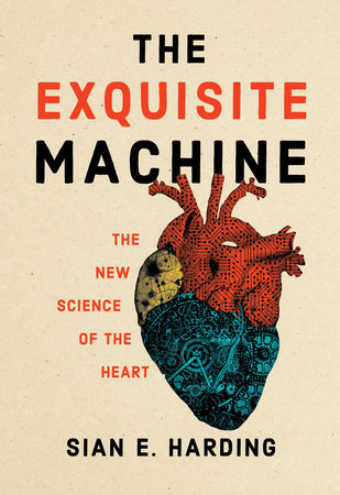 The Exquisite Machine by Sian E. Harding