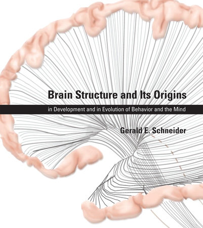 Brain Structure and Its Origins by Gerald E. Schneider