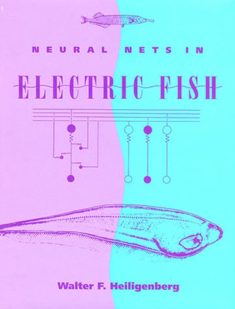 Neural Nets in Electric Fish by Walter Heiligenberg; foreword by Mark Konishi