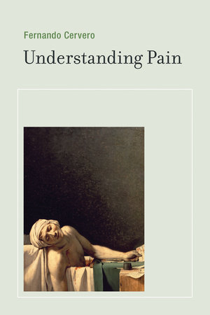 Understanding Pain by Fernando Cervero