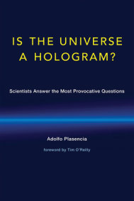 Is the Universe a Hologram?