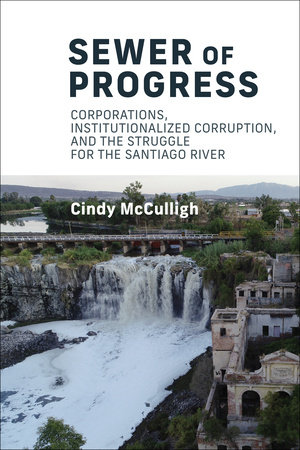 Sewer of Progress by Cindy Mcculligh