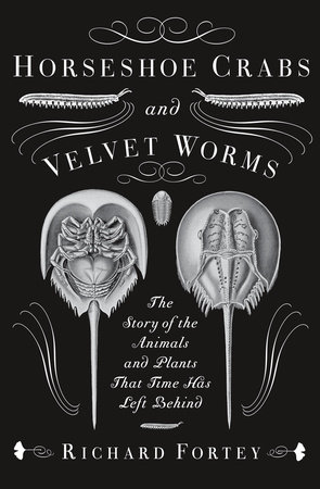 Horseshoe Crabs and Velvet Worms by Richard Fortey
