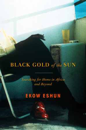 Black Gold of the Sun by Ekow Eshun