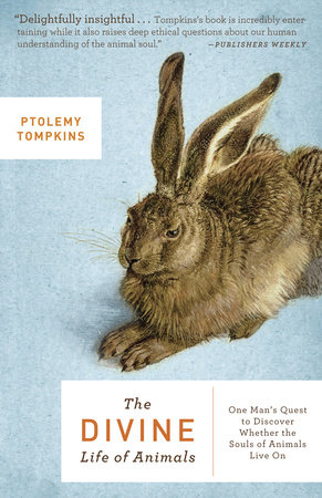 The Divine Life of Animals by Ptolemy Tompkins
