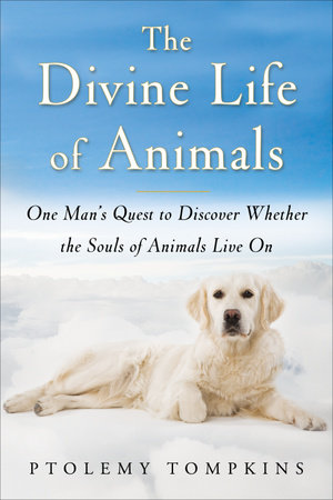 The Divine Life of Animals by Ptolemy Tompkins