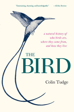 The Bird by Colin Tudge
