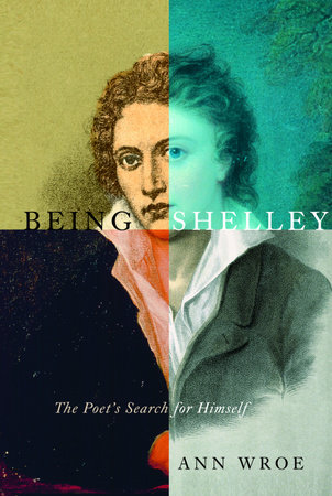 Being Shelley by Ann Wroe