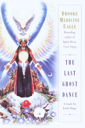 The Last Ghost Dance by Brooke Medicine Eagle