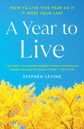 A Year to Live by Stephen Levine