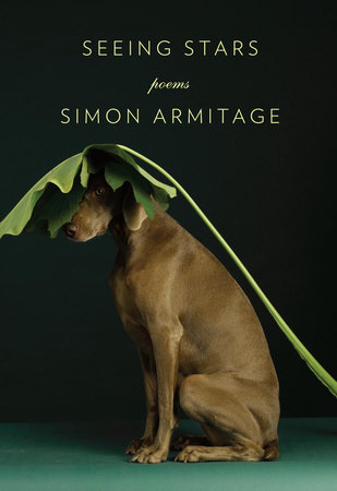 Seeing Stars by Simon Armitage