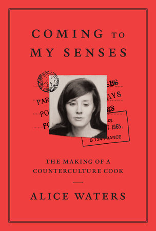 Coming to My Senses Book Cover Picture