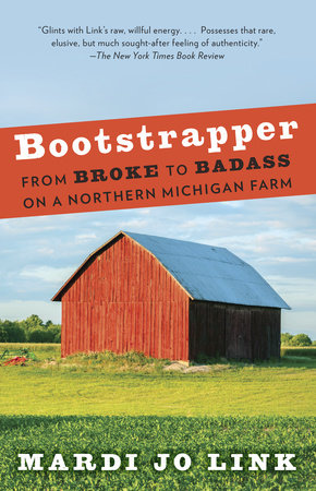 Bootstrapper by Mardi Jo Link