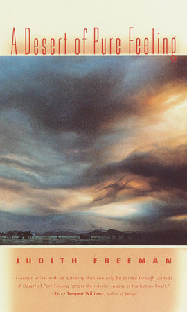 A Desert of Pure Feeling by Judith Freeman