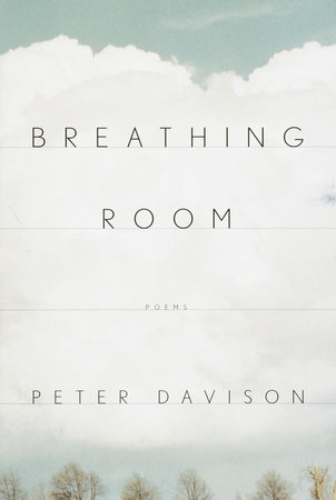 Breathing Room by Peter Davison