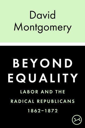 Beyond Equality by David Montgomery