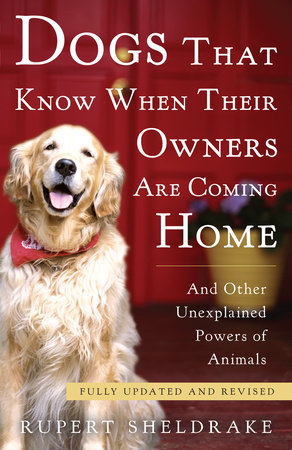 Dogs That Know When Their Owners Are Coming Home by Rupert Sheldrake