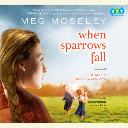 When Sparrows Fall by Meg Moseley