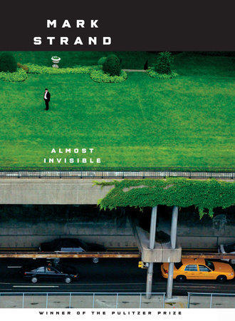 Almost Invisible by Mark Strand