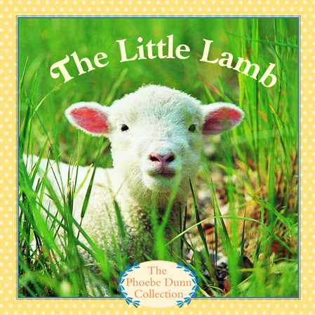 The Little Lamb by Phoebe Dunn