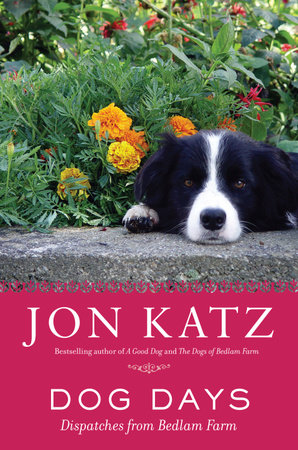 Dog Days by Jon Katz