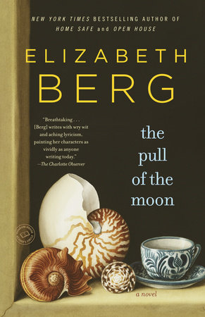 The Pull of the Moon by Elizabeth Berg