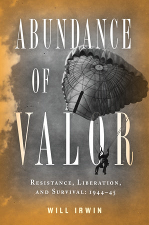 Abundance of Valor by Will Irwin