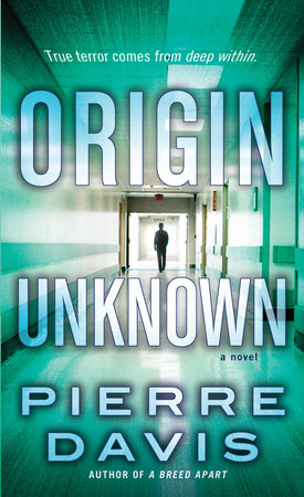 Origin Unknown by Pierre Davis